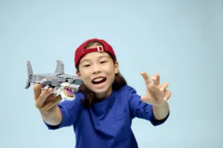 Fierce Shark with a Treasure Chest by LEGO – product photo 21 of 25