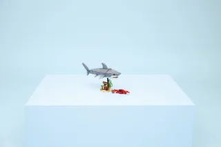 Fierce Shark with a Treasure Chest by LEGO – product photo 24 of 25