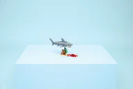 Fierce Shark with a Treasure Chest - Image 24 of 24