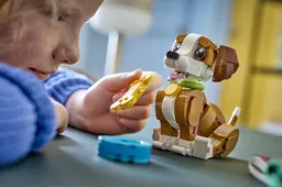 LEGO Cute Animals: Playful Puppy Dog (31382) - afbeelding 18