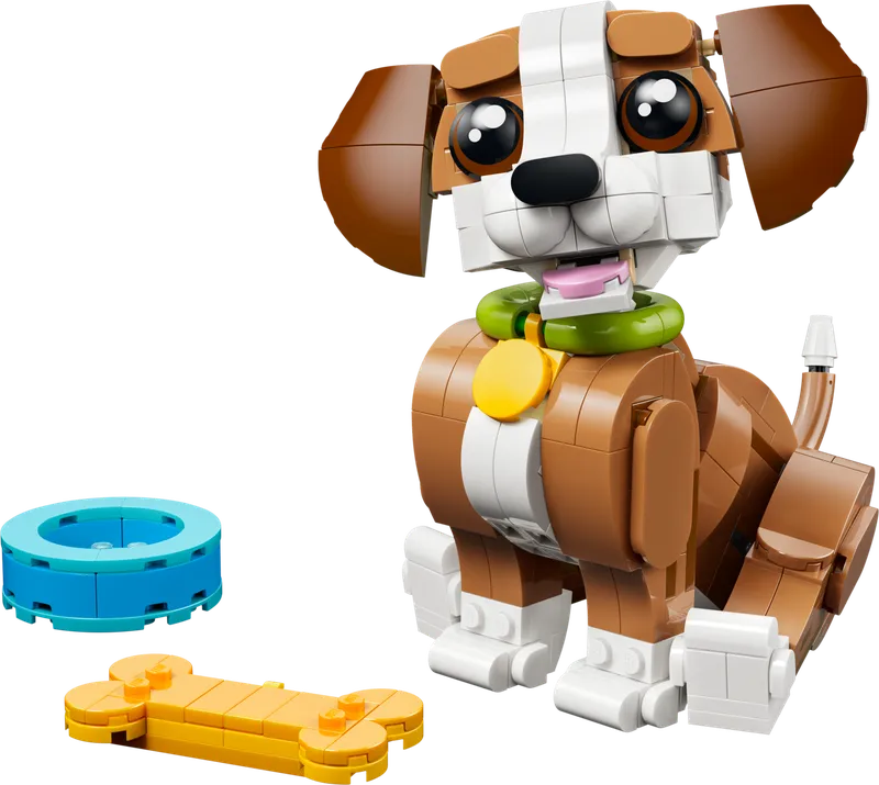Cute Animals: Playful Puppy