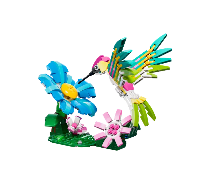 Wild Animals: Colorful Hummingbird