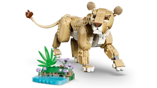 Wild Animals: Majestic Lion von LEGO – Produktfoto 3 von 17