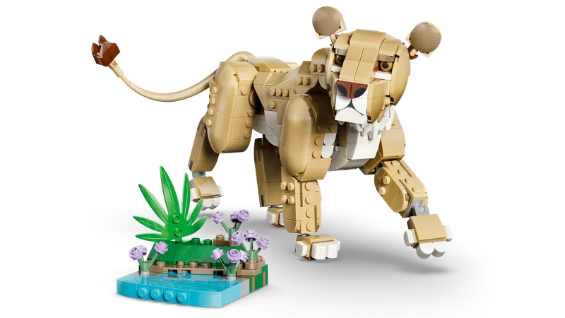 Wild Animals: Majestic Lion von LEGO – Produktfoto 3 von 17