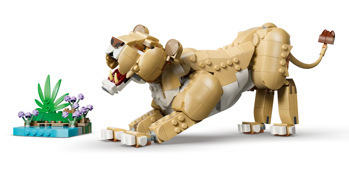 LEGO Wild Animals: Majestic Lion (31386) - Bild 5