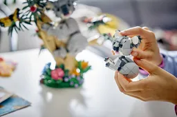 LEGO Wild Animals: Family of Koalas (31388) - image 12