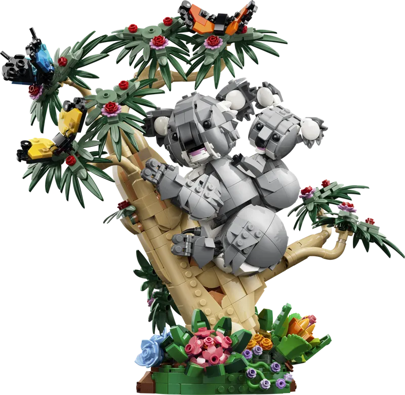 Wild Animals: Family of Koalas