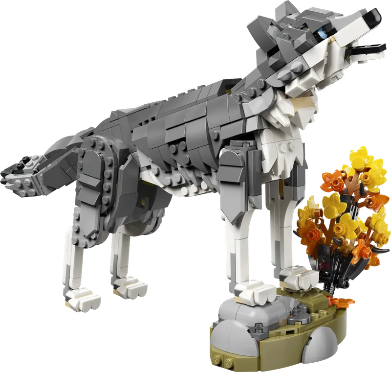 Forest Animals: Gray Wolf