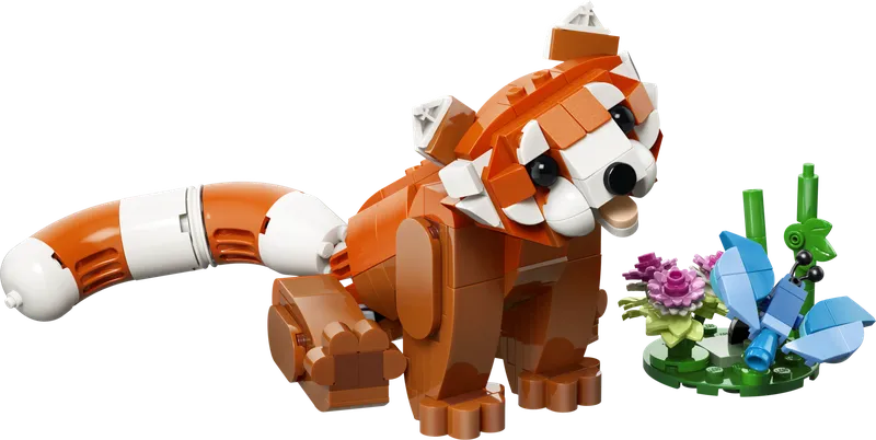 Cute Animals: Red Panda