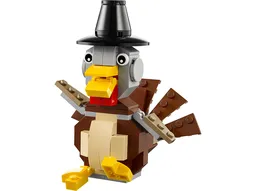 LEGO Turkey (40091)