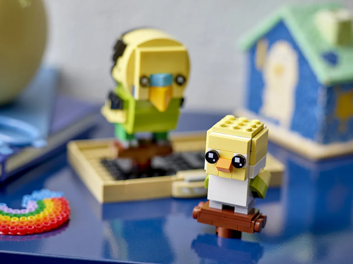 LEGO Budgie (40443) - image 4