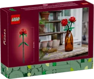 Rozen - Afbeelding 6 van 6