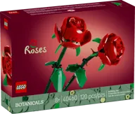 Rozen - Afbeelding 2 van 6