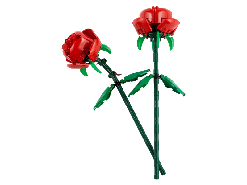 Roses