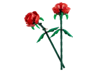 Rozen - Afbeelding 1 van 6