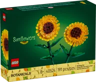 Zonnebloemen - Afbeelding 3 van 8