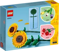 Zonnebloemen - Afbeelding 4 van 8