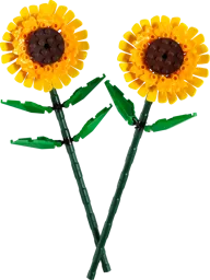 Zonnebloemen - Afbeelding 1 van 8