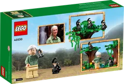 LEGO Jane Goodall Tribute (40530) - afbeelding 2