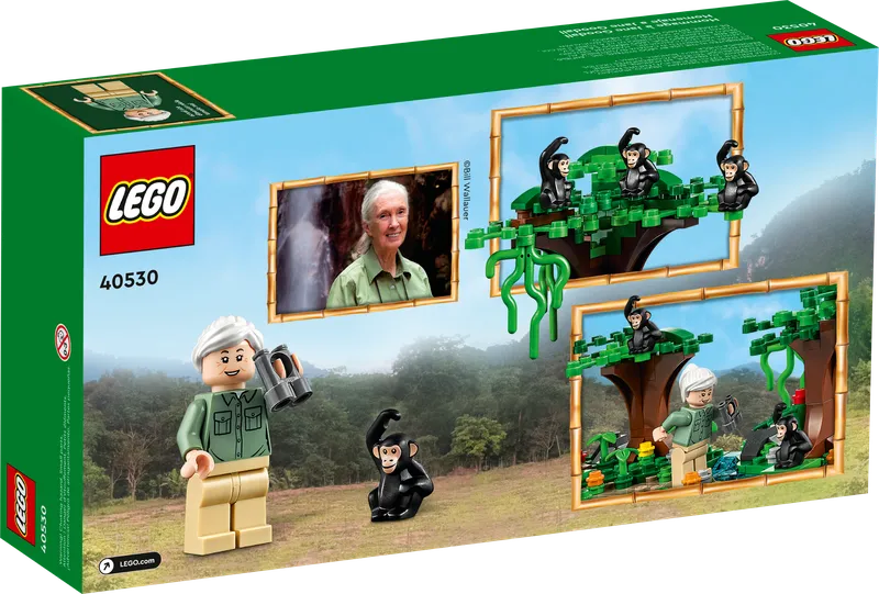 Jane Goodall Tribute de LEGO – photo du produit 3 sur 3