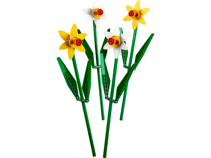 Daffodils