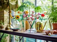 Kersenbloesems - Afbeelding 4 van 8