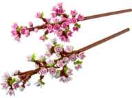 Kersenbloesems - Afbeelding 1 van 8