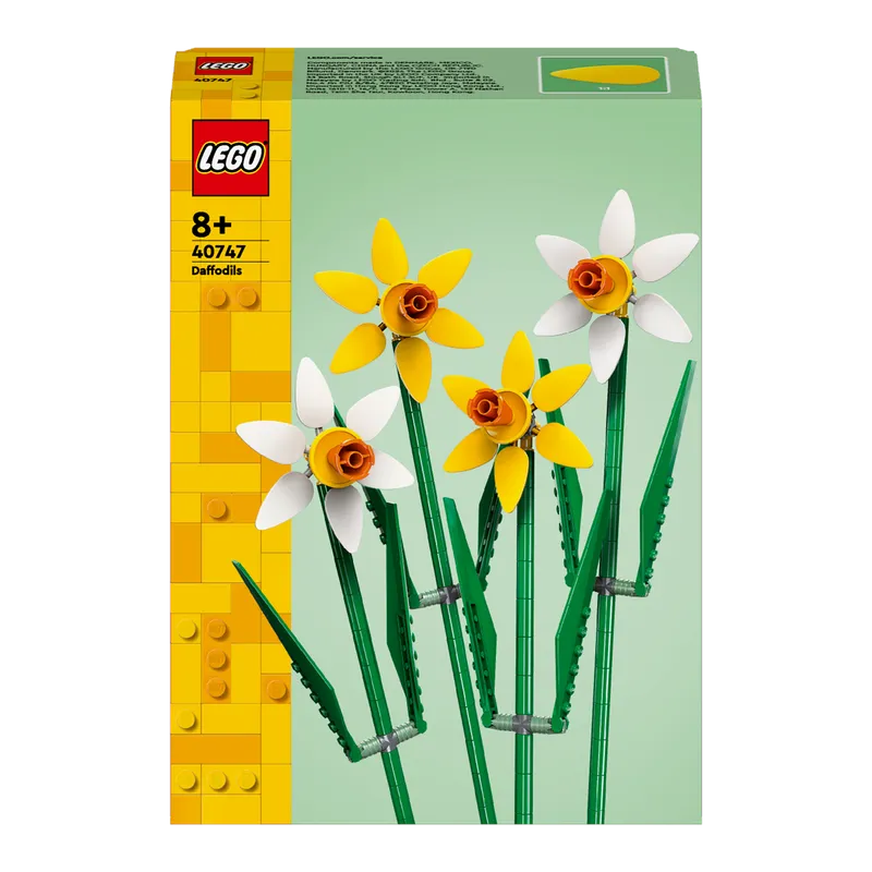 Daffodils