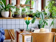 Narcissen - Afbeelding 3 van 5