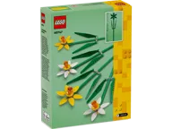 Narcissen - Afbeelding 5 van 5