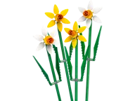 Narcissen - Afbeelding 1 van 5