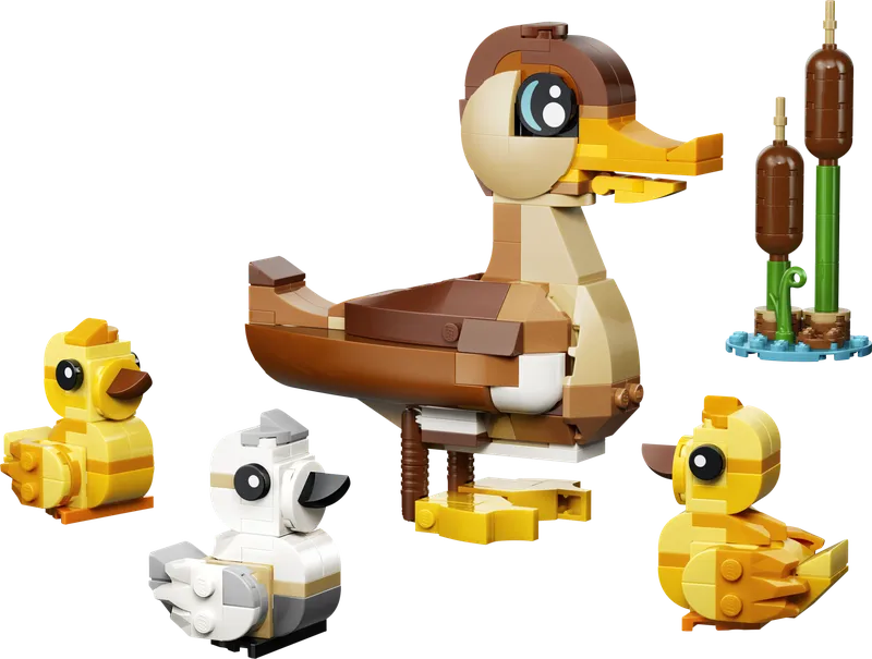 Duck Family