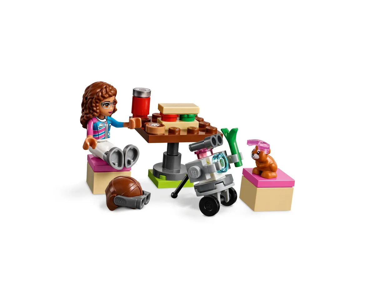 LEGO Heartlake City Airplane Tour (41343) - image 4