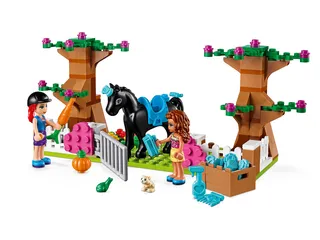 Heartlake City Brick Box fra LEGO – produktfoto 3 af 10