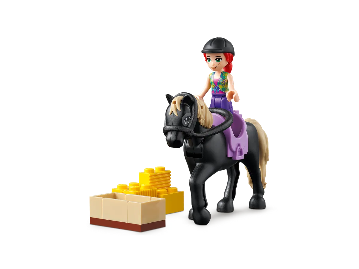 LEGO Organic Farm (41721) - image 10