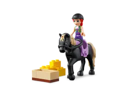 LEGO Organic Farm (41721) - image 10