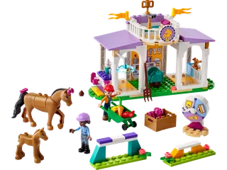 Horse Training de LEGO – photo du produit 1 sur 7