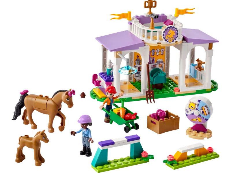 Horse Training