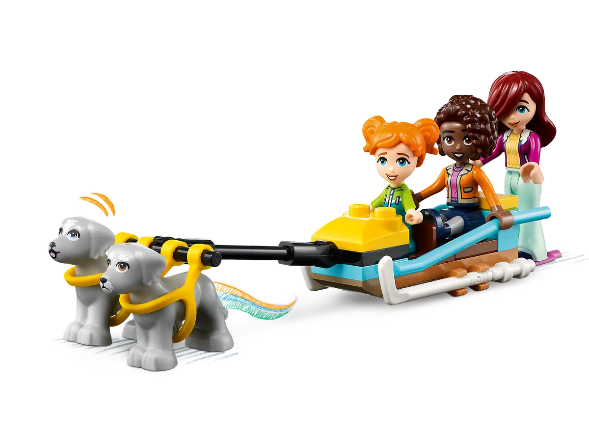 LEGO Igloo Holiday Adventure (41760) - Bild 4