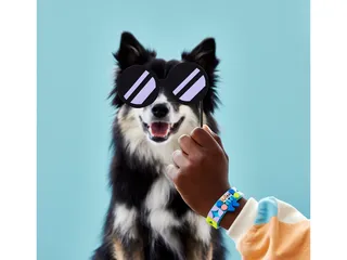 My Pets Bracelet från LEGO – produktbild 6 av 6