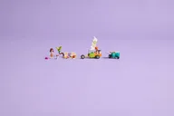 Surf- en scooterplezier met de honden - Afbeelding 9 van 10