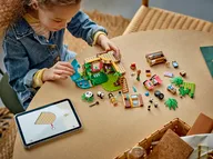 Panda Sanctuary Animal Care - Image 10 of 11