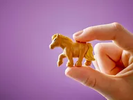 Ponyboerderij en stal - Afbeelding 10 van 12