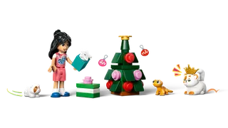 LEGO® Friends Advent Calendar 2025 von LEGO – Produktfoto 5 von 11