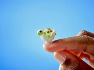 Strandresort - Afbeelding 10 van 12