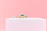 Bestelwagen met dierenaccessoires - Afbeelding 10 van 12