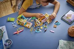 LEGO Beach House with Seals (42699) - afbeelding 9