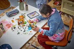 LEGO Koala Habitat & Care Center (42701) - image 9