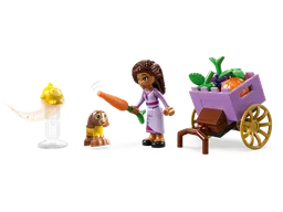 LEGO Asha in the City of Rosas (43223) - image 3