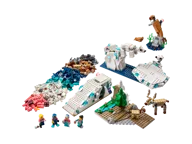 Natuurwetenschap en Techniek Dieren op de Noordpool - Afbeelding 1 van 17